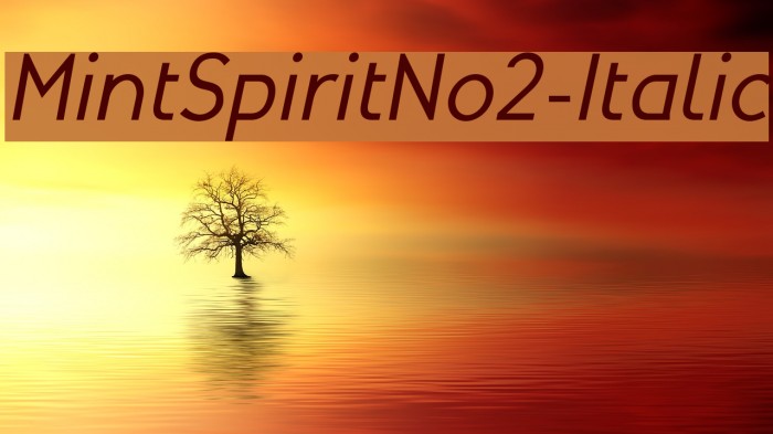 MintSpiritNo2-Italic Fonte examples