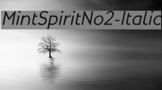 MintSpiritNo2-Italic خط examples