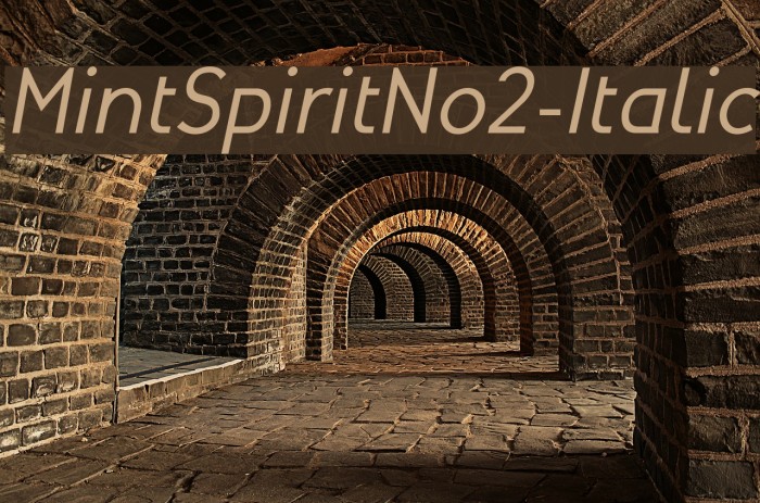 MintSpiritNo2-Italic Fonte examples