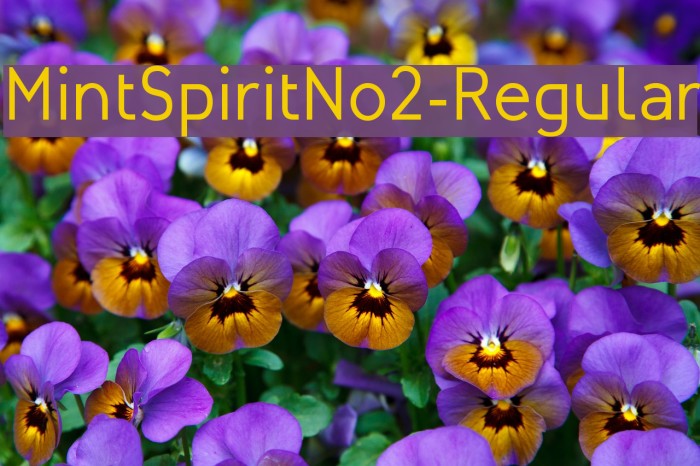 MintSpiritNo2-Regular Font examples