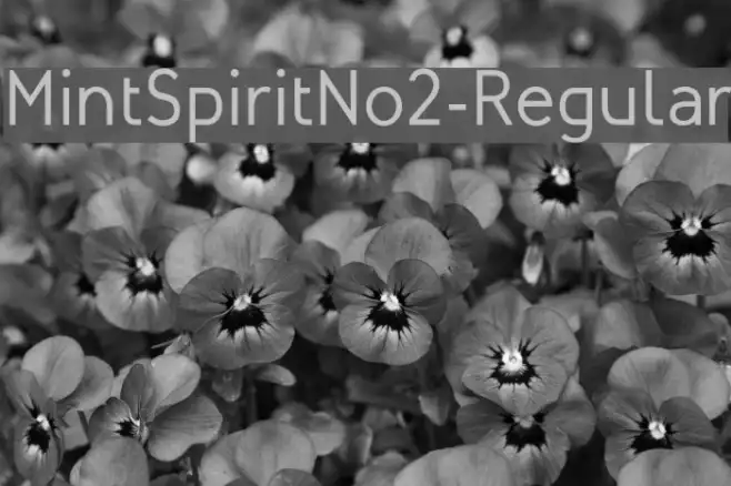 MintSpiritNo2-Regular Example 1