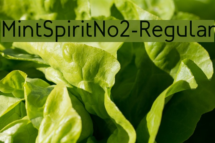 MintSpiritNo2-Regular Font examples