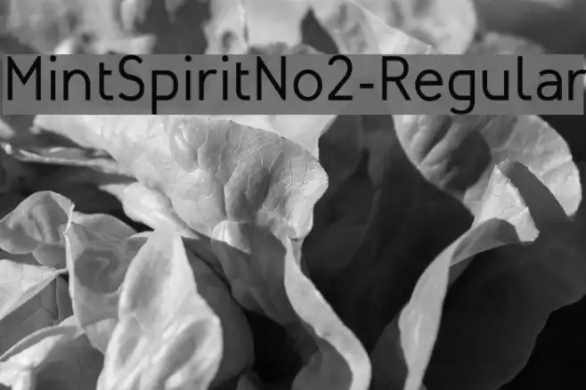 MintSpiritNo2-Regular Example 2