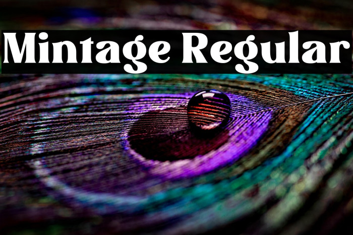 Mintage Regular Example 2