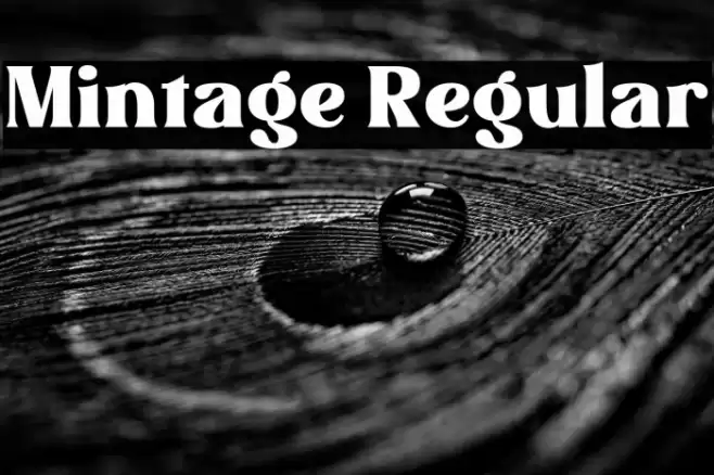 Mintage Regular Font examples