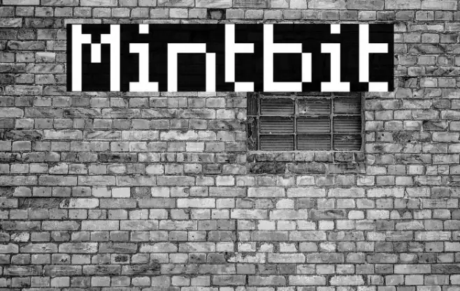 Mintbit Example 3