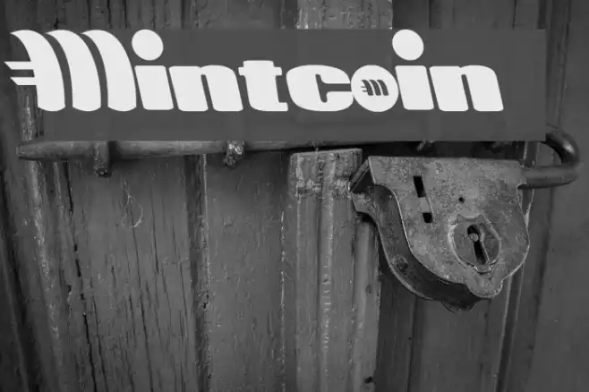Mintcoin Example 2