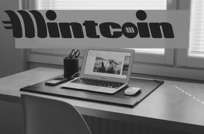 Mintcoin Example 3