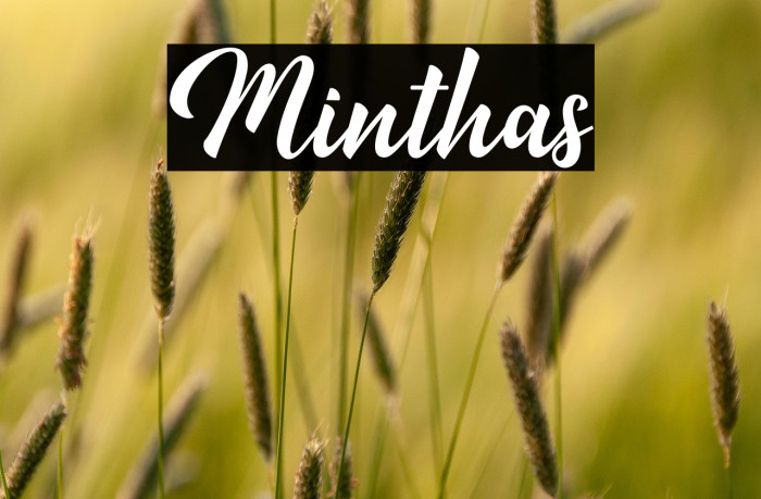 Minthas Example 1