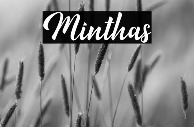 Minthas Font examples