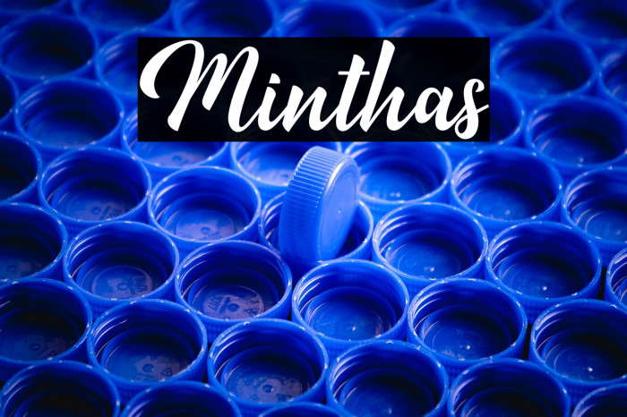 Minthas Example 2