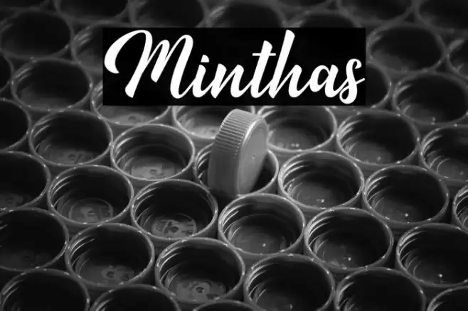 Minthas Font examples