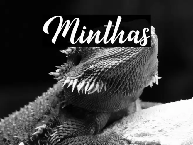 Minthas Font examples