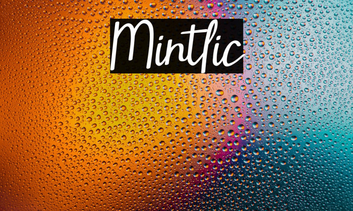 Mintlic Example 1
