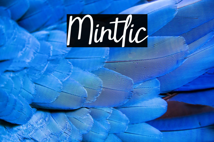 Mintlic Example 2