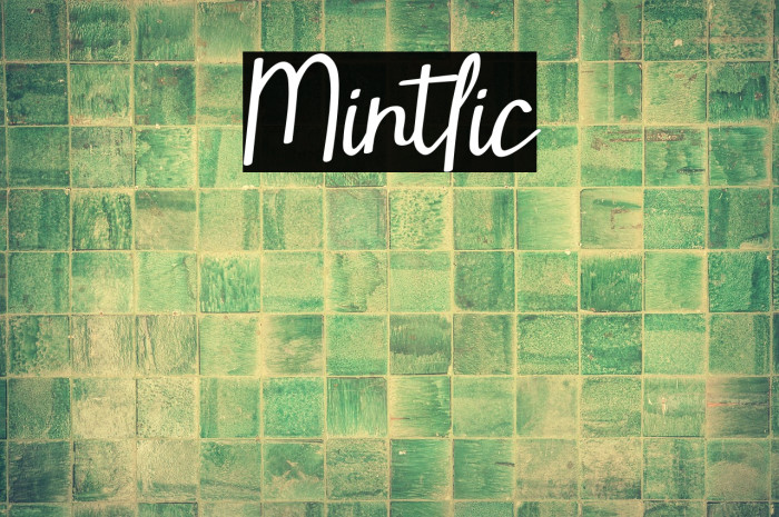 Mintlic Example 3