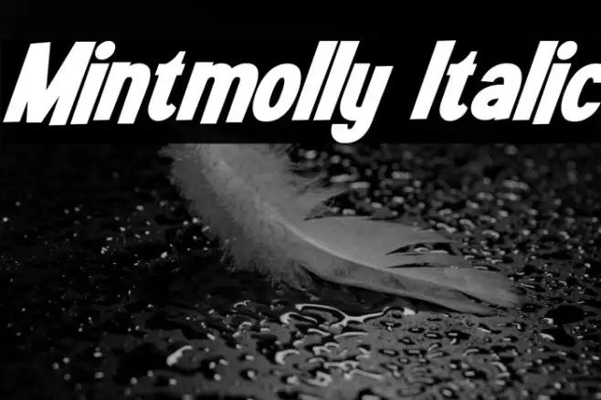 Mintmolly Italic Example 1