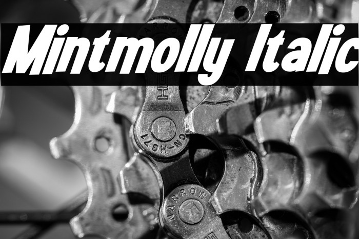 Mintmolly Italic Example 3