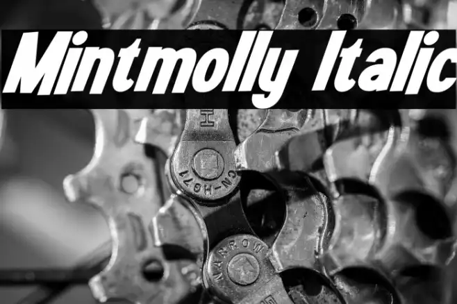 Mintmolly Italic Example 3
