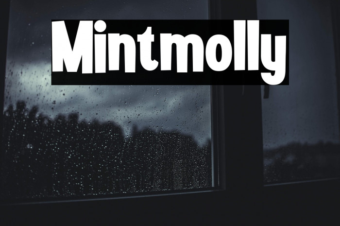 Mintmolly Example 1