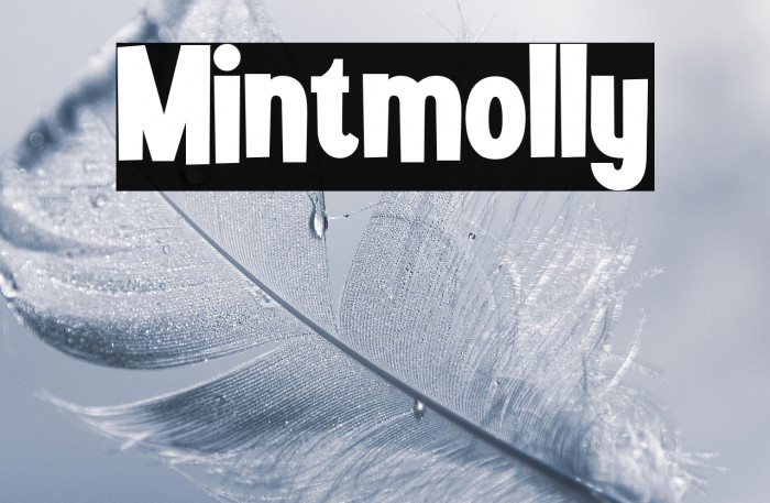 Mintmolly Example 2