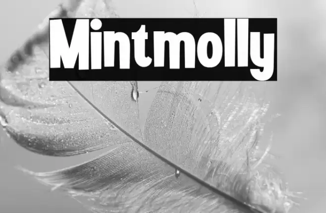 Mintmolly Font examples