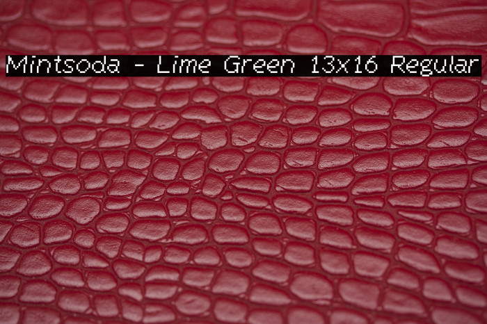 Mintsoda - Lime Green 13x16 Regular Example 1
