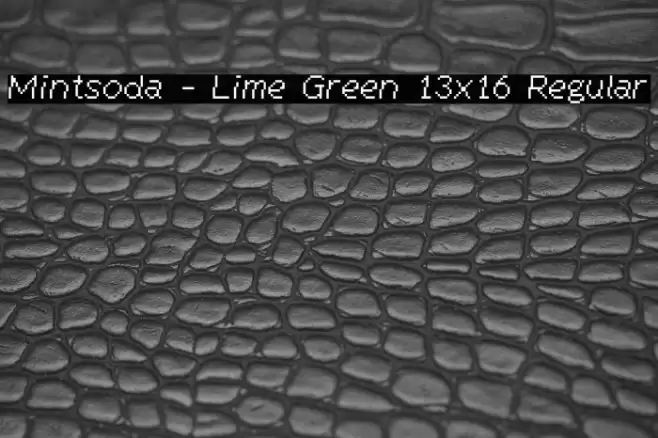 Mintsoda - Lime Green 13x16 Regular Font examples