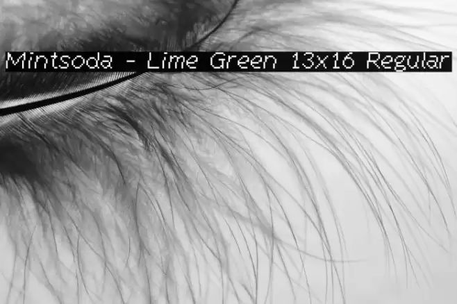 Mintsoda - Lime Green 13x16 Regular Font examples