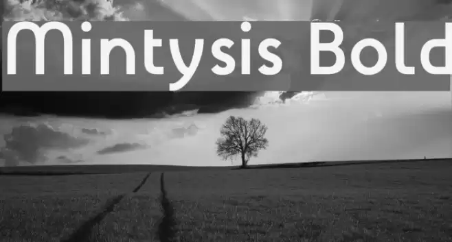 Mintysis Bold Font examples