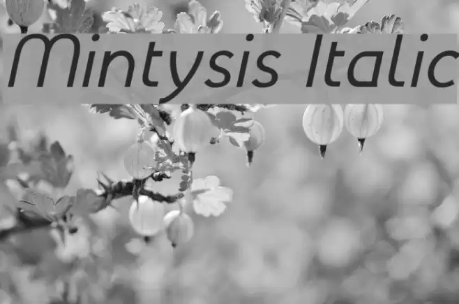 Mintysis Italic Font examples