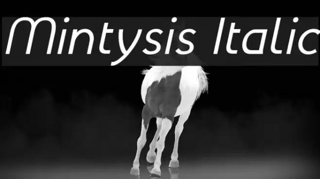 Mintysis Italic Font examples