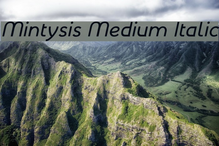 Mintysis Medium Italic Font examples