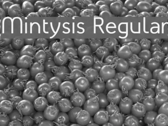 Mintysis Regular Font examples