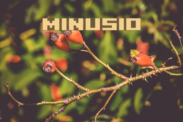 Minusio Font examples