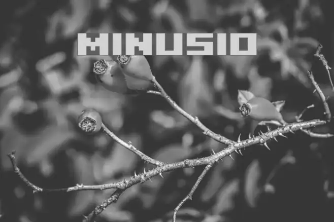 Minusio Example 3