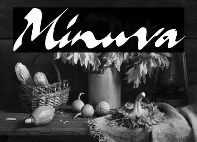 Minuva Example 1
