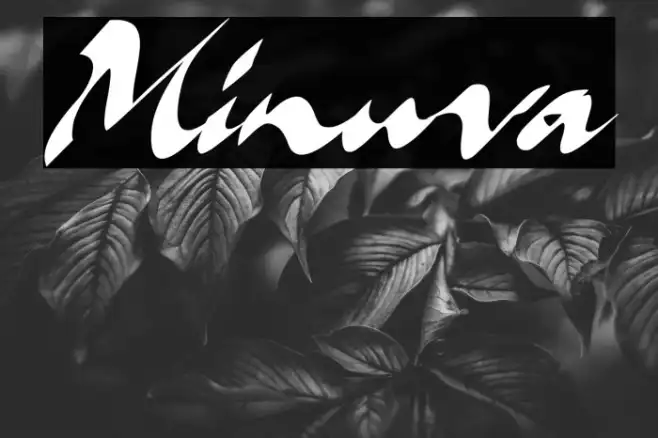 Minuva Example 2