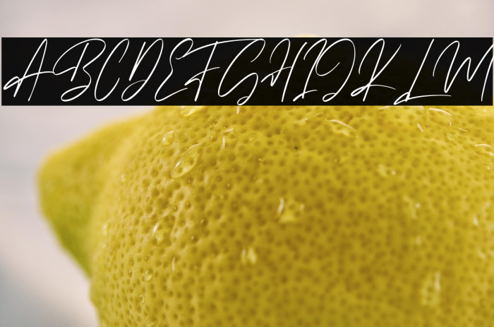 Miny Fellas Example 1