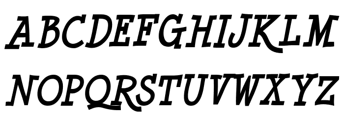 Minya Nouvelle Bold Italic Schriftart Groß