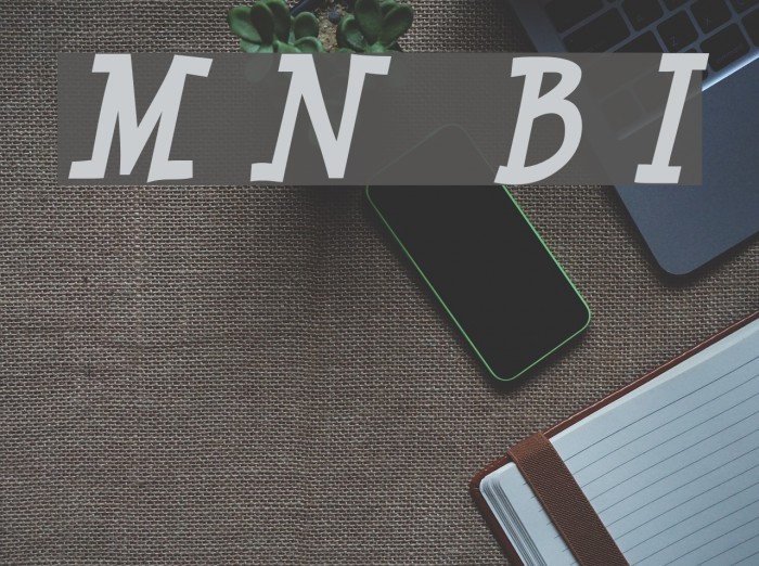 Minya Nouvelle Bold Italic Font examples