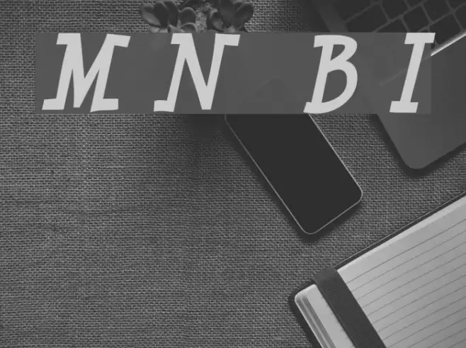 Minya Nouvelle  Bold Italic Font examples