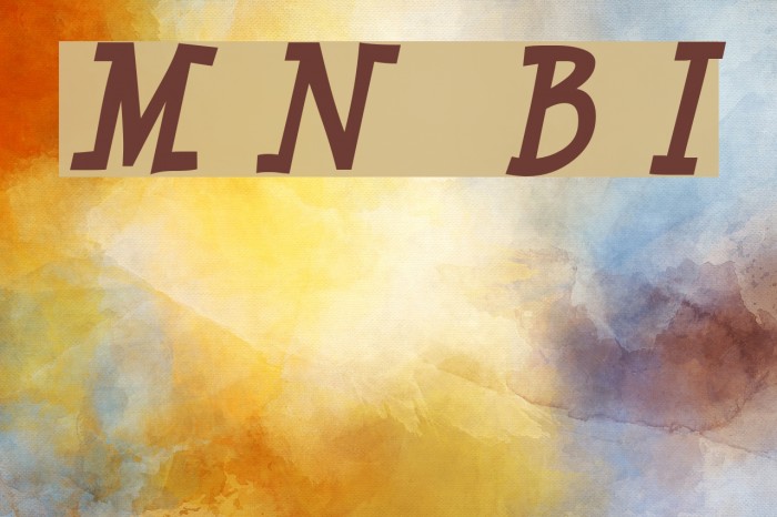 Minya Nouvelle Bold Italic Font examples