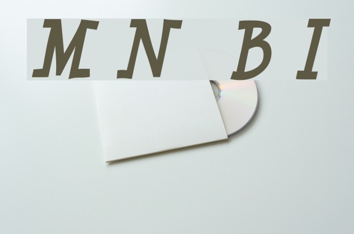 Minya Nouvelle Bold Italic Font examples