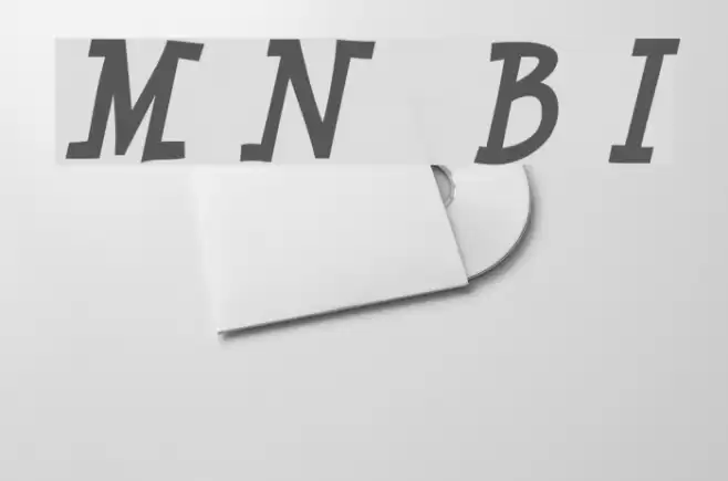 Minya Nouvelle  Bold Italic Font examples