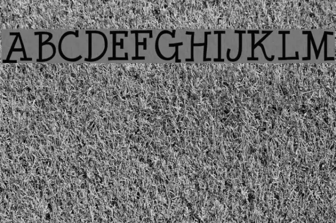 Minya Nouvelle Caratteri examples