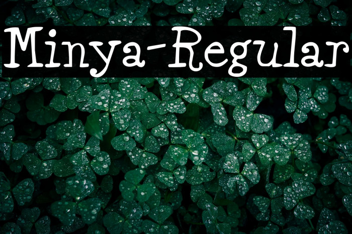 Minya-Regular Example 1