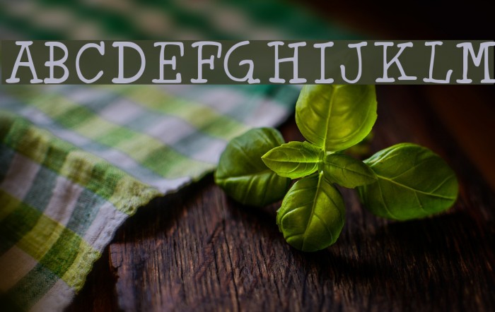 Minya Regular Font examples
