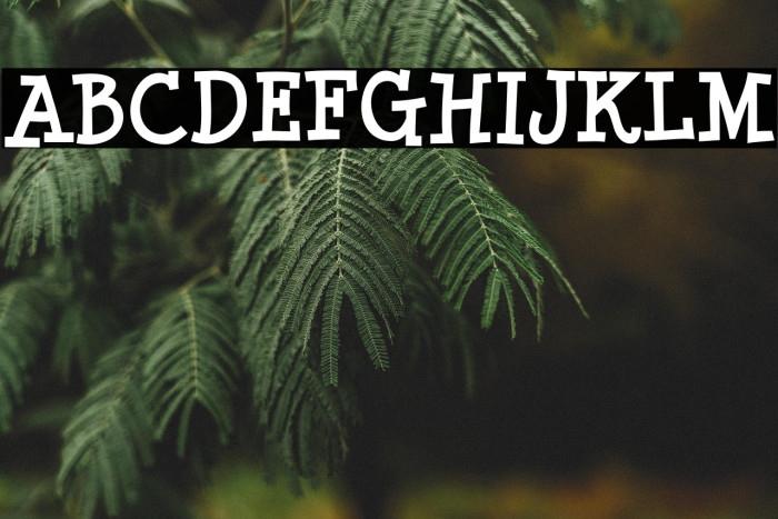 MinyaNouvelle-Bold Example 1