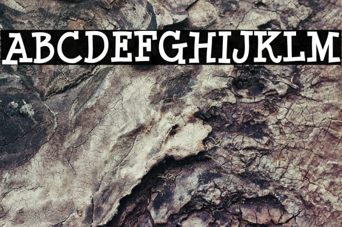 MinyaNouvelle-Bold Example 2